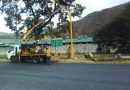 Continúa la reparación de semáforos de Guarenas